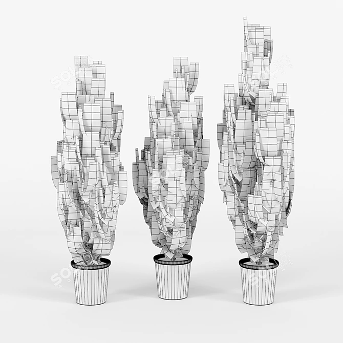 Evergreen Cupressus Wilma - 3D Plant Model 3D model image 2