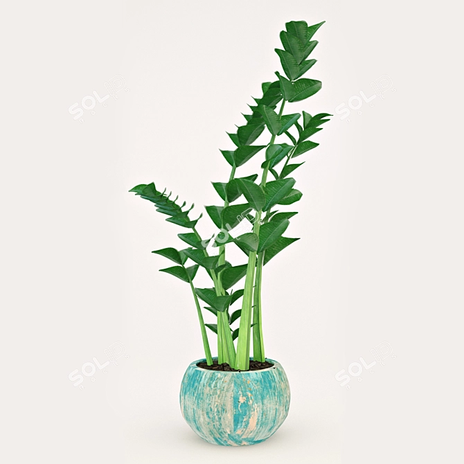 Zamioculcas: The Perfect Home Plant 3D model image 1