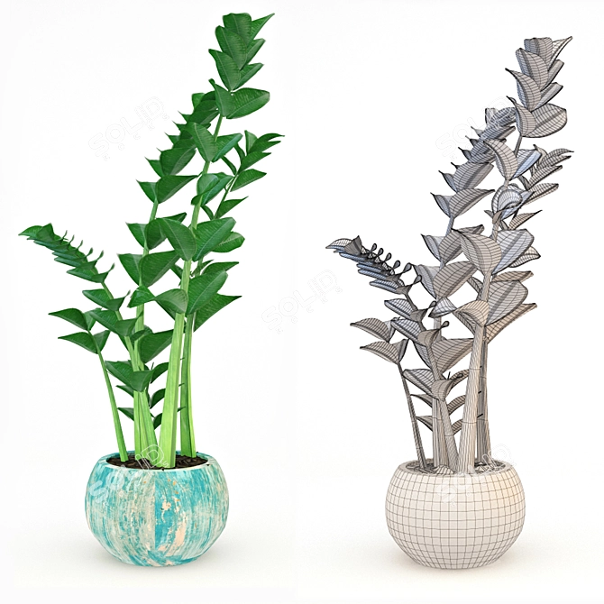 Zamioculcas: The Perfect Home Plant 3D model image 3