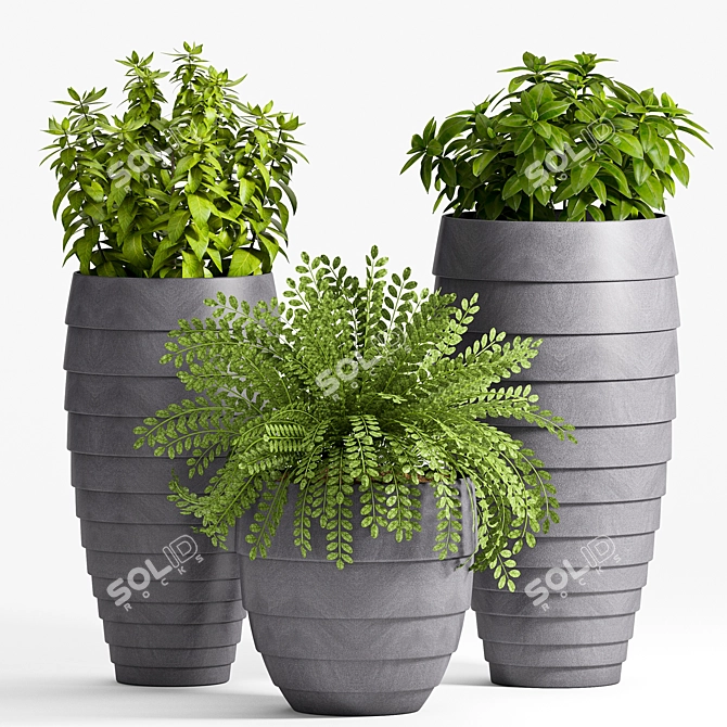 25 Piece Plant Set 3D model image 1