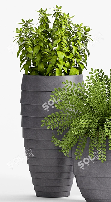 25 Piece Plant Set 3D model image 2