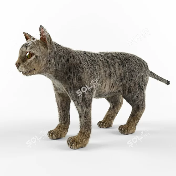 Blender Cat Model - Low Poly, Hair&Fur 3D model image 1