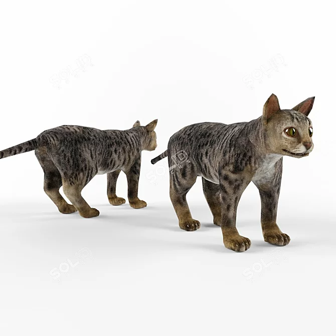 Blender Cat Model - Low Poly, Hair&Fur 3D model image 2