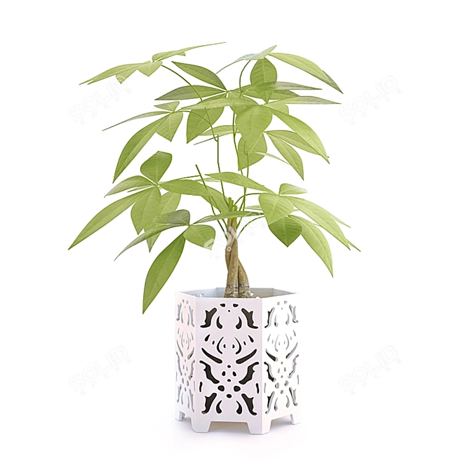 Original Pot Plant 3D model image 1