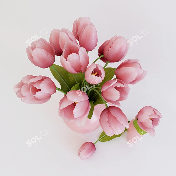 Pretty in Pink Tulips 3D model image 2