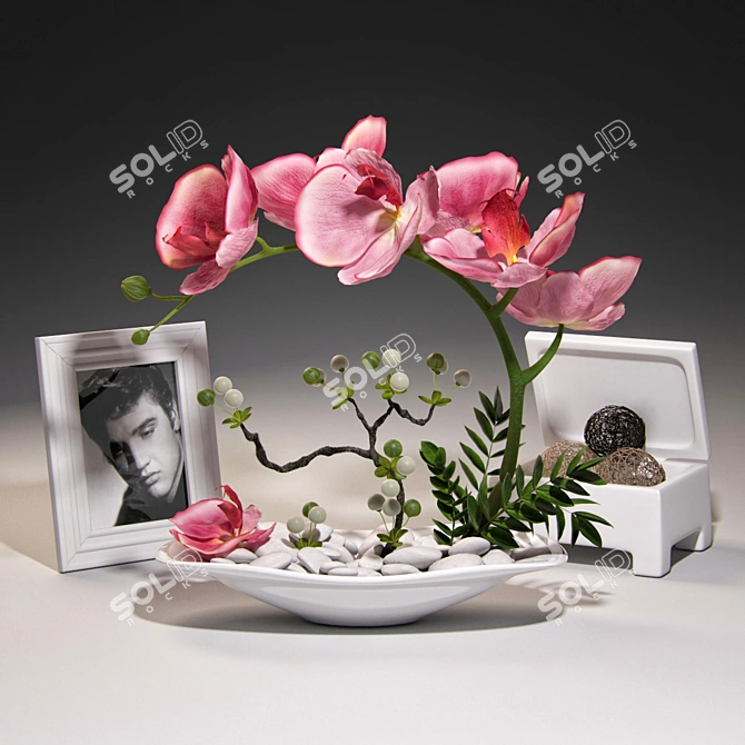 Title: Elegant Orchid Decor Set 3D model image 1