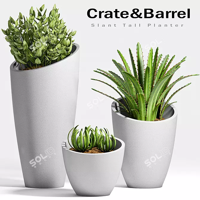 Stylish Planters Collection 3D model image 1