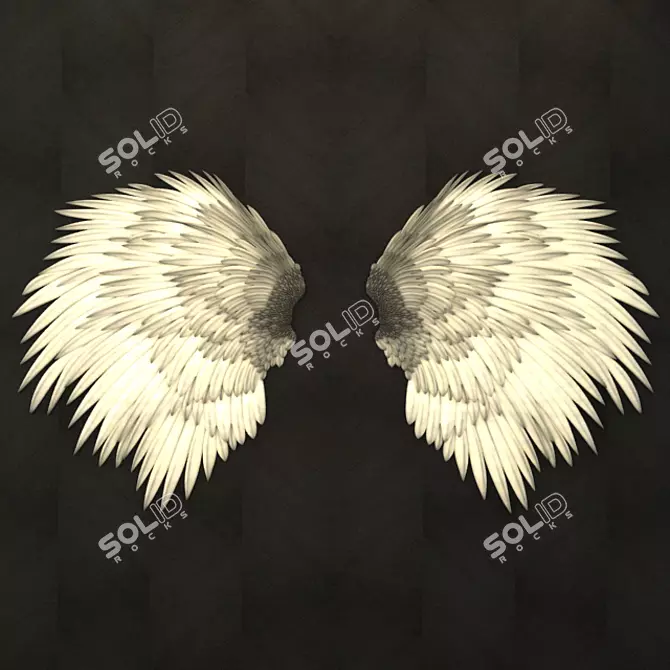 Heavenly Feather Relief 3D model image 1