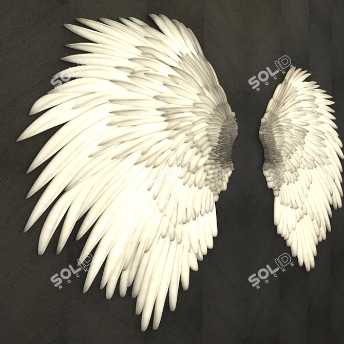 Heavenly Feather Relief 3D model image 2