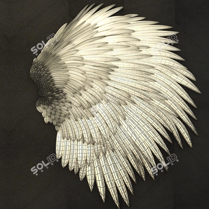 Heavenly Feather Relief 3D model image 3