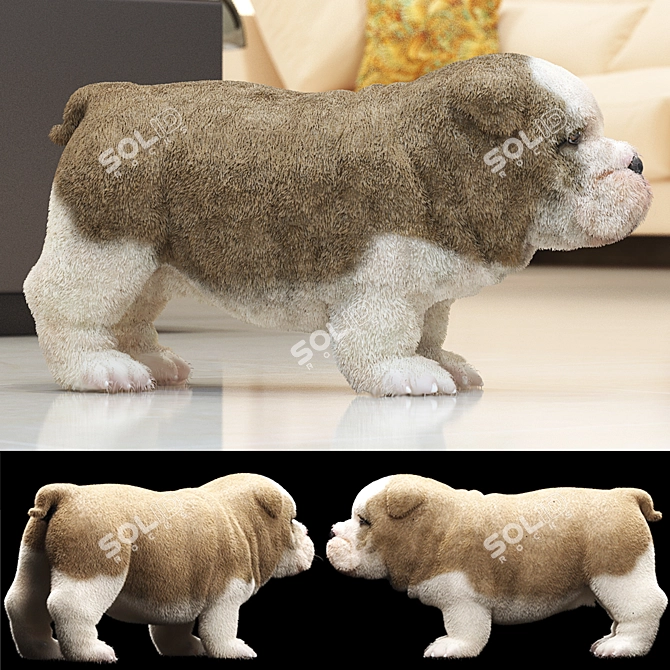 Charming English Bulldog Puppy with Beautiful Coat 3D model image 1