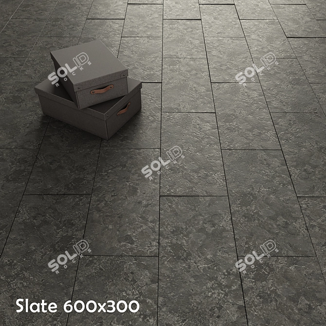 Dual Color Slate Tiles 3D model image 2