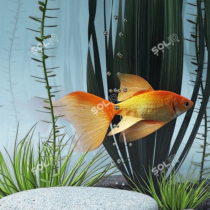 Virtual Aquarium 3D 3D model image 2