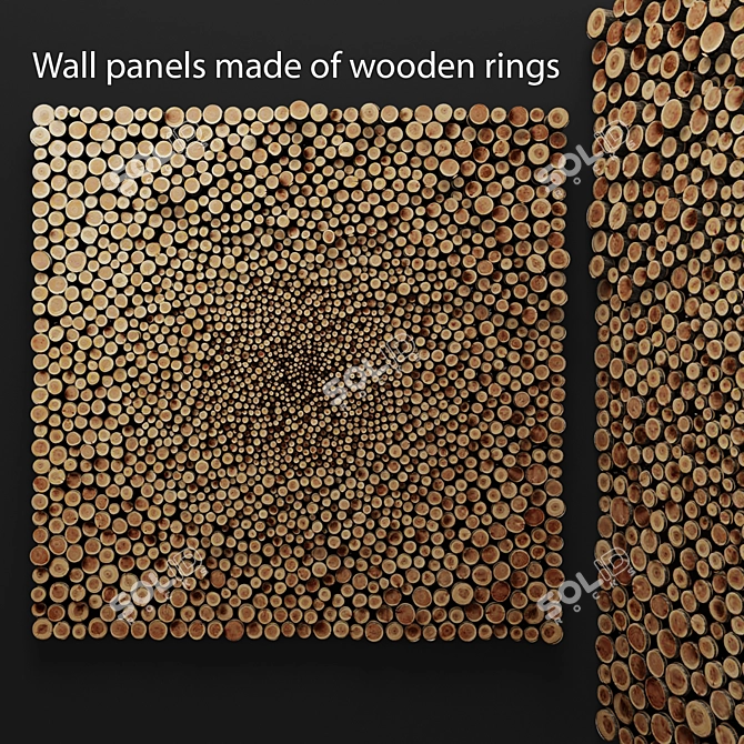 Wooden Ring Wall Decor 3D model image 1