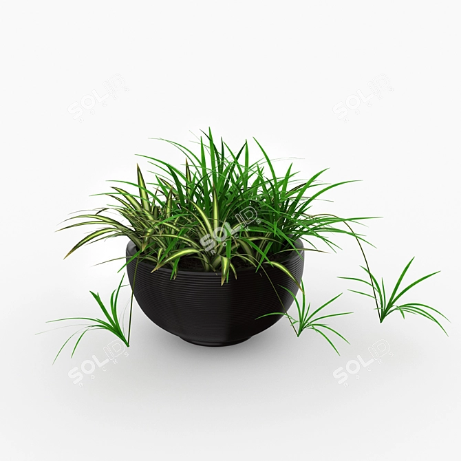 Kashpo: Potted Flower Plant 3D model image 1