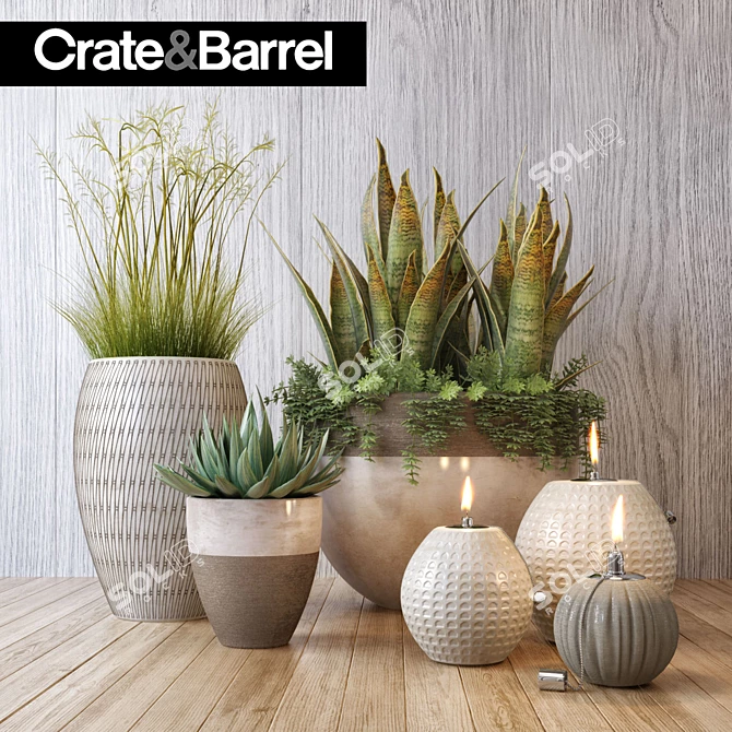 Modern Botanical Set | Crate&Barrel 3D model image 1