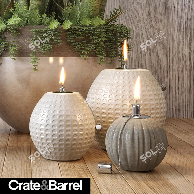 Modern Botanical Set | Crate&Barrel 3D model image 2