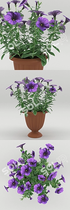 Petunia Flower Pot: Stunning Terrace & Balcony Decor! 3D model image 2