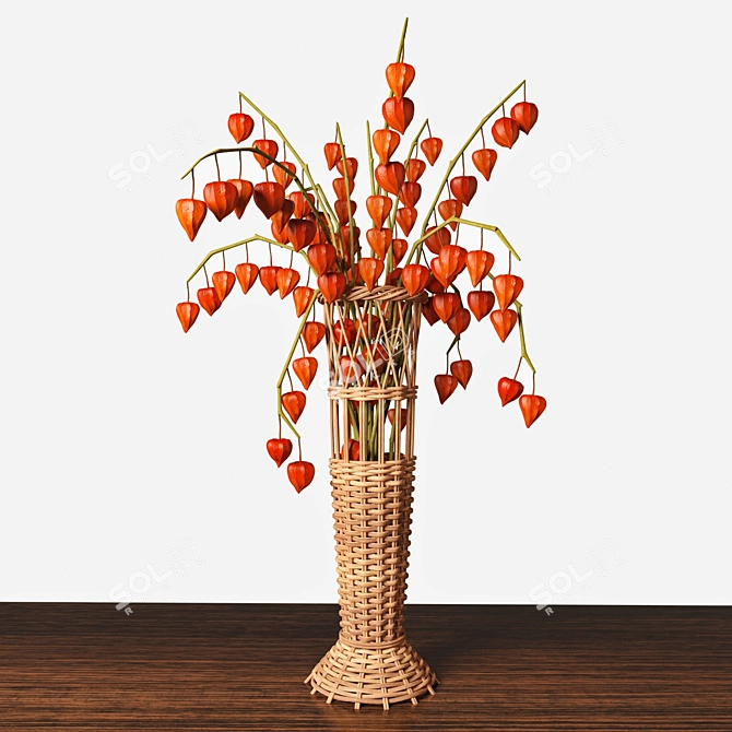 Cape Gooseberry Vase: Elegant and Unique 3D model image 1