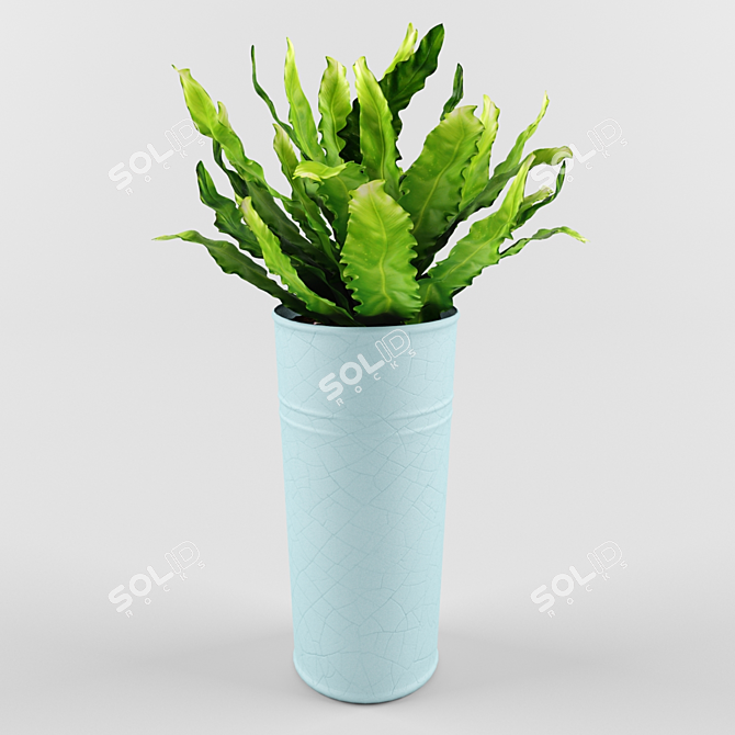 Lush Asplenium: Compact 30cm Plant 3D model image 1