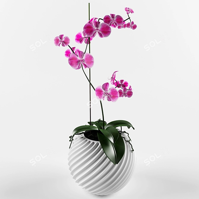 Vampiric Orchid: The Energetic Indoor Flower 3D model image 1