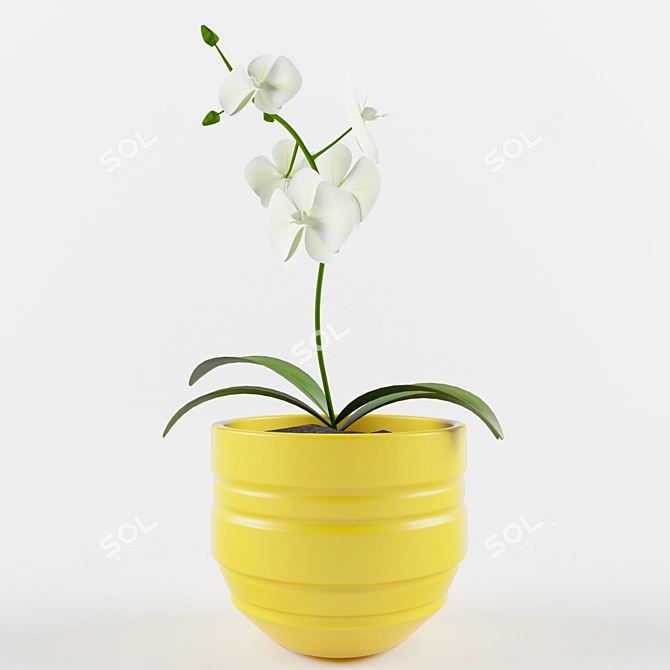 Lovely Plant 3D model image 1