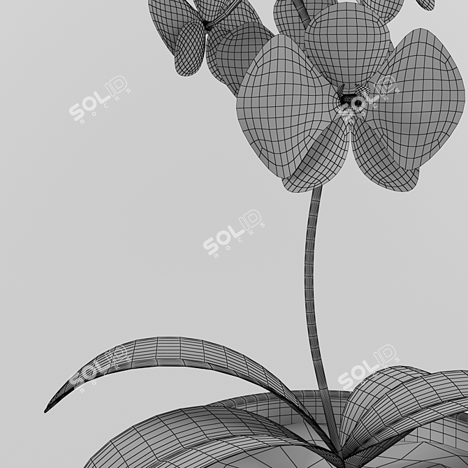 Lovely Plant 3D model image 3