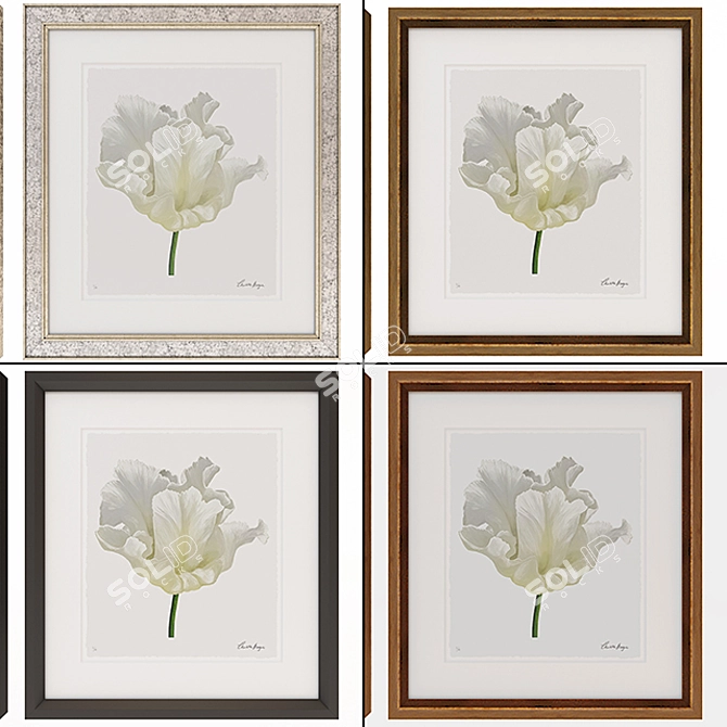 Elegant Watercolour Tulip Art 3D model image 3
