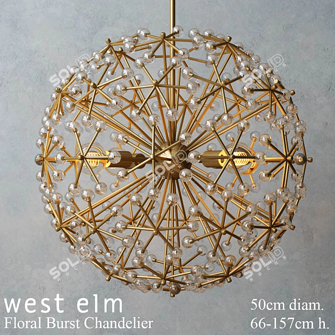 Floral Burst Chandelier: Elegant and Dynamic Lighting 3D model image 1