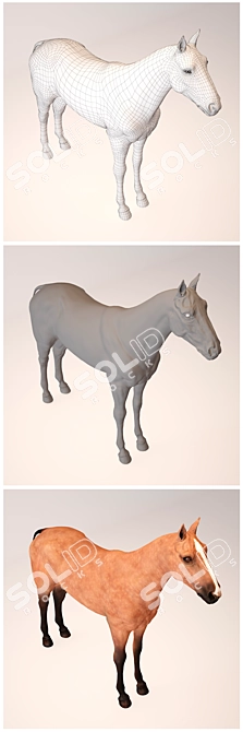 Sleek Stallion 3D Model 3D model image 2