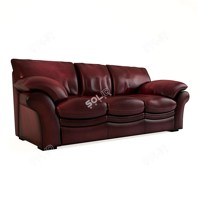 Elegant Kansas Leather Sofa 3D model image 1