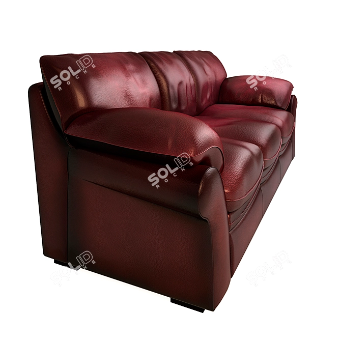 Elegant Kansas Leather Sofa 3D model image 3