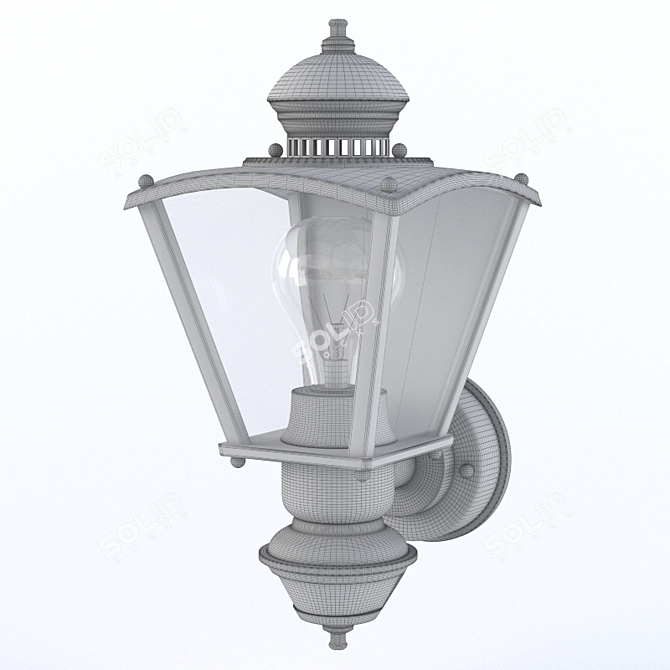 Polished Brass Outdoor Light 3D model image 2