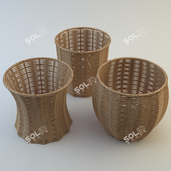 Natural Rattan Baskets: Rustic Storage Solution 3D model image 1