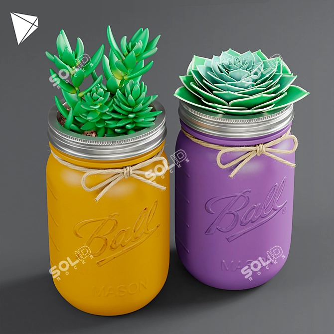 Mason Jar Succulent Duo 3D model image 1