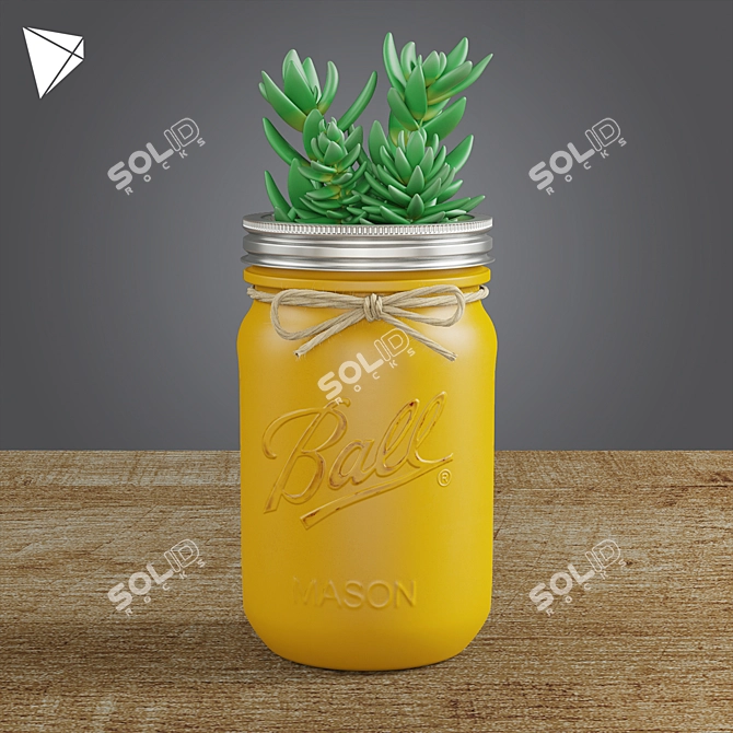 Mason Jar Succulent Duo 3D model image 2