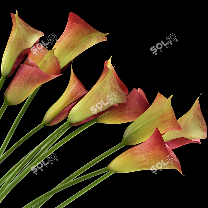 Realistic Red Callas in Glass Vase 3D model image 2