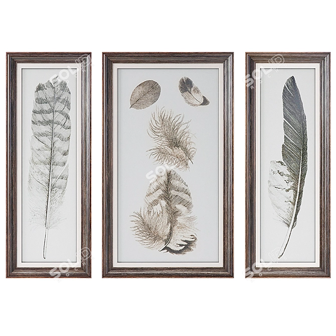 Feather Study Wall Art Trio 3D model image 1