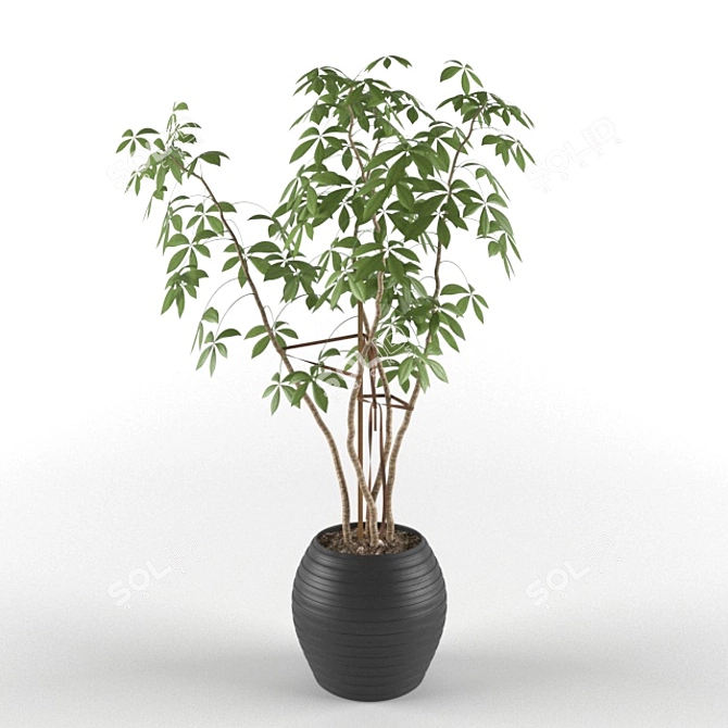 Exquisite Indoor Greenery: High-Quality Ornamental Plants 3D model image 1