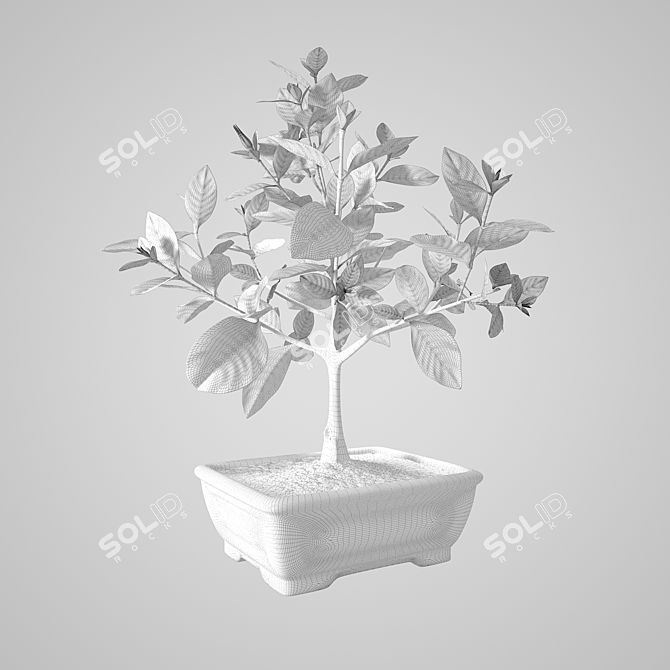 Elegant Gardenia Sculpture 3D model image 3