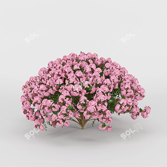 Elegant Azalea 3D Model 3D model image 2