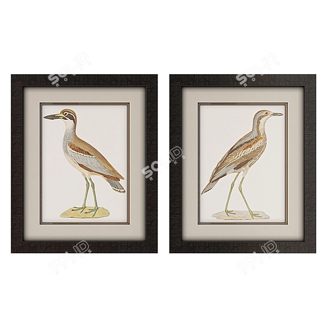 Coastal Seabird Framed Art 3D model image 1