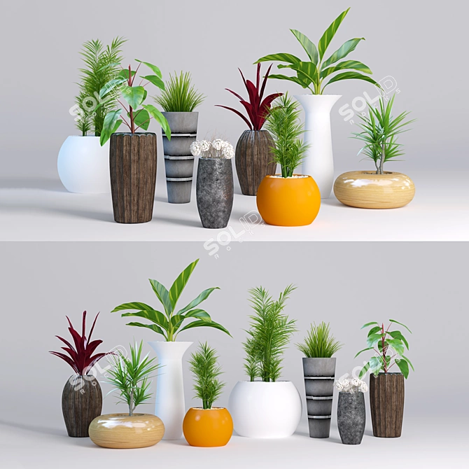 Contemporary Garden Design: Pots, Palms & More! 3D model image 1