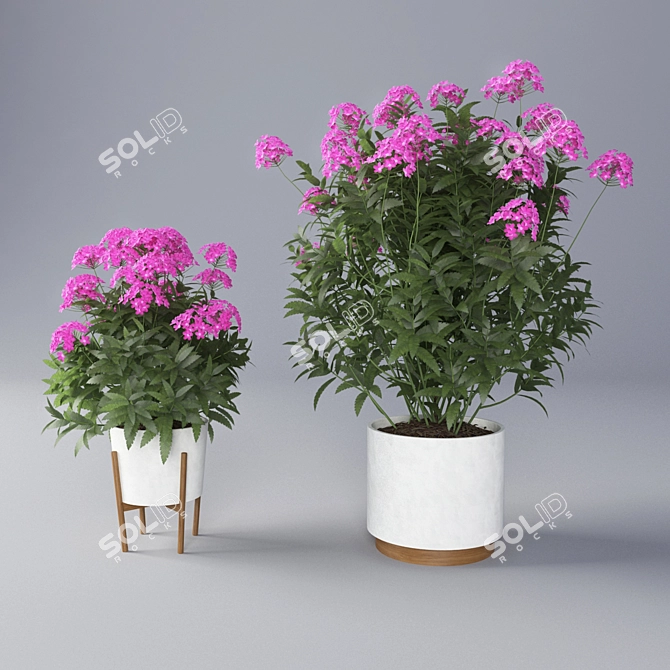 Vibrant Verbena Flower Pot 3D model image 1