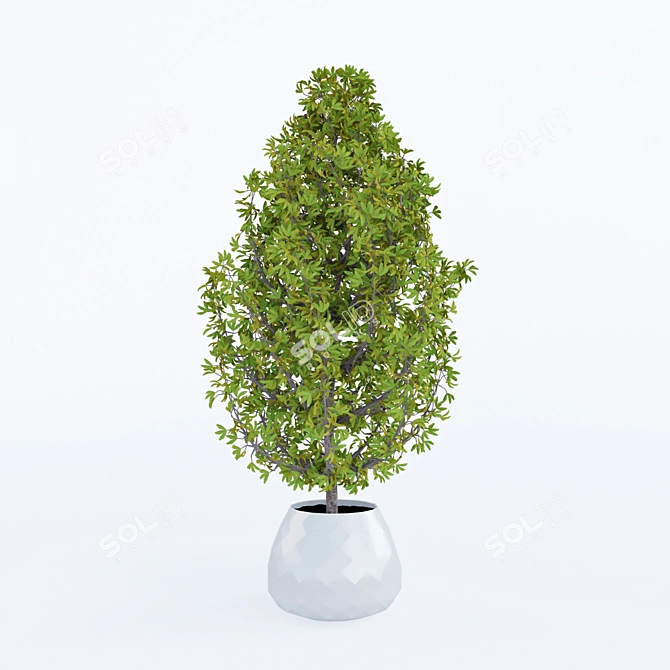 Elegant Potted Plant for Home Decor 3D model image 1