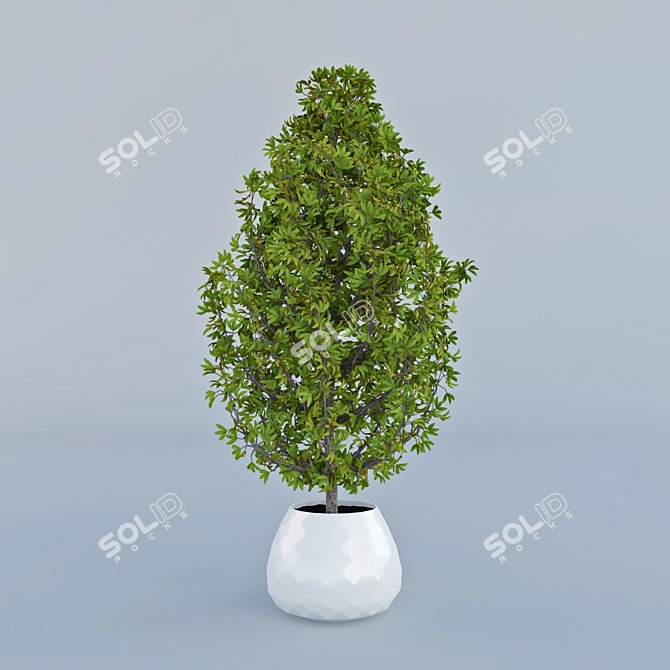 Elegant Potted Plant for Home Decor 3D model image 2