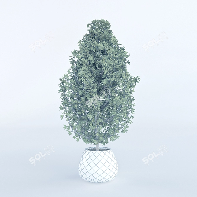 Elegant Potted Plant for Home Decor 3D model image 3