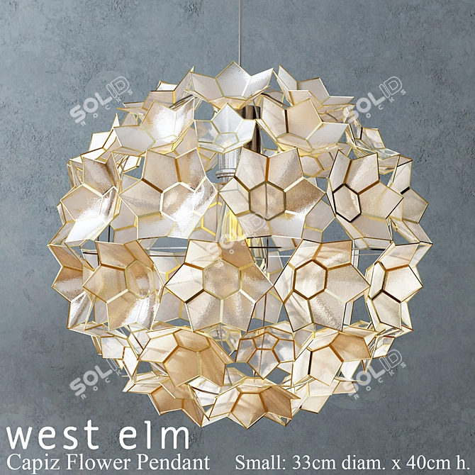 Elegant Capiz Flower Pendant 3D model image 1