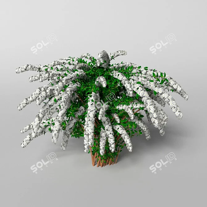 Grefsheim Spirea: 372k Polygons 3D model image 1