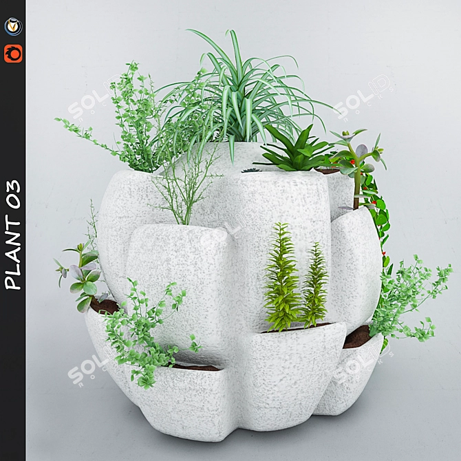 3D Plant Pack 3D model image 1